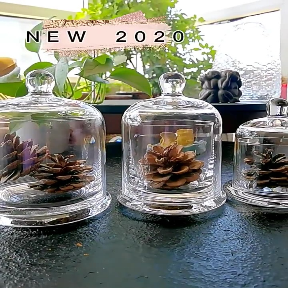 Glas-Vorratsgefäß für Ewige Bl – Food Storage Of Plants Bewertung und Preis