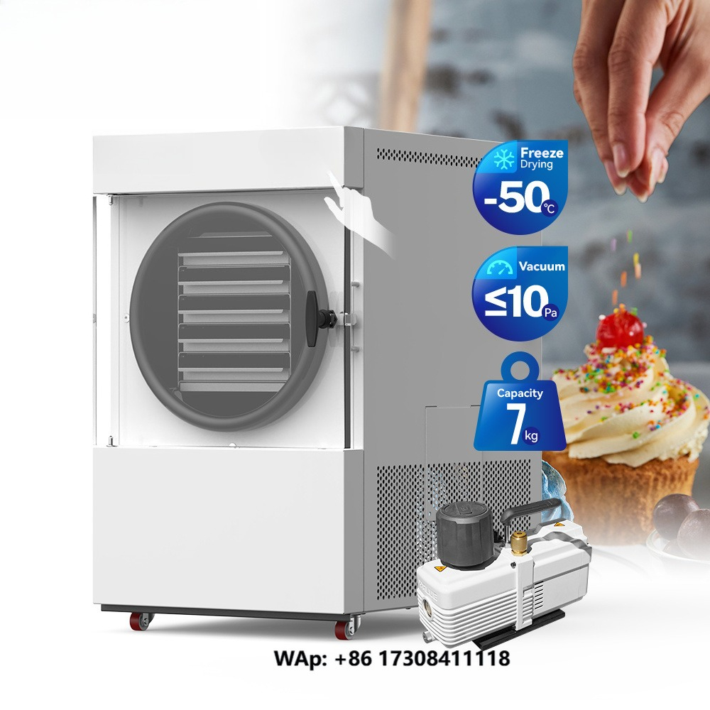 Vakuum-Gefriertrockner mit Pum – Food Storage Vacuum Pump Bewertung und Preis