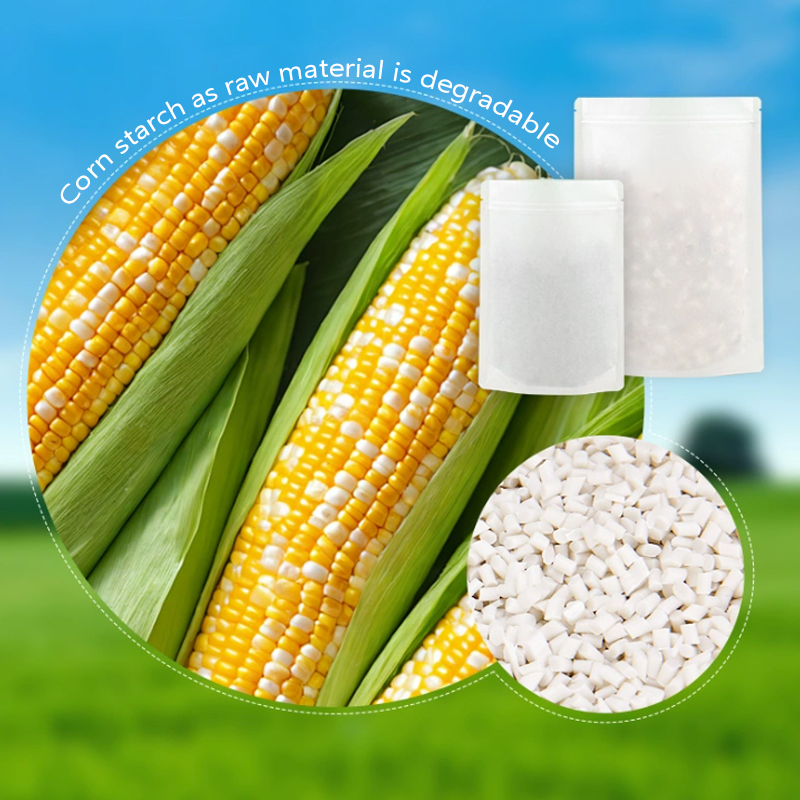 Maßgeschneiderte abbaubare Kra – Food Storage Of Plants Bewertung und Preis