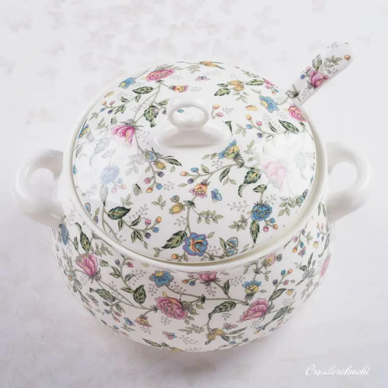 22,9 cm, Knochenporzellan-Terr – Food Storage Of Plants Bewertung und Preis