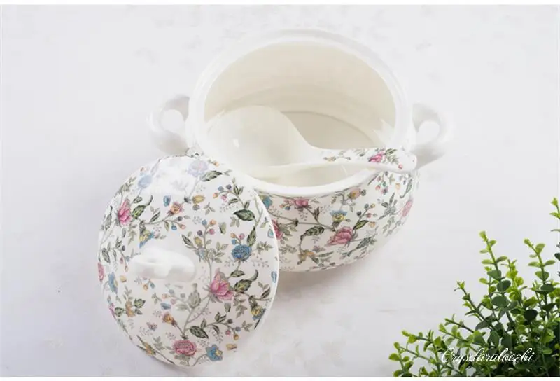 22,9 cm, Knochenporzellan-Terr – Food Storage Of Plants Bewertung und Preis