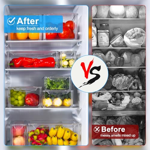 14er-Pack Kühlschrank-Organize – Food Storage Vegetables Bewertung und Preis